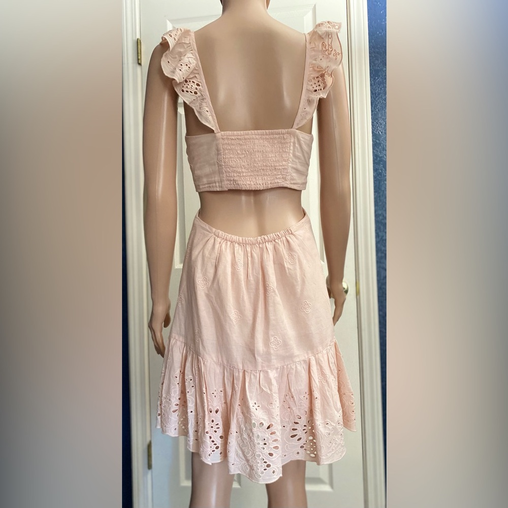 Express Light Pink Ruffle Mini Dress - Picture 5 of 8